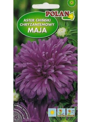 Polan Nasiona Aster Chiński Chryzantemowy Maja Fiolet 1g