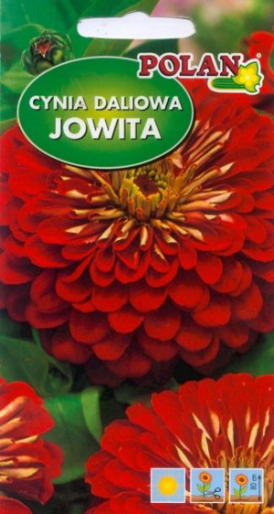 Polan Nasiona Cynia Daliowa Jowita Czerwona 1g