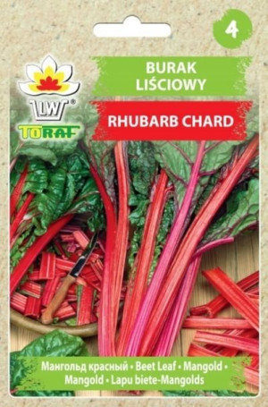 BURAK liściowy Nasiona Rhubarb Chard 5g