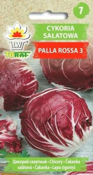 CYKORIA sałatowa Nasiona Palla Rossa 5 g