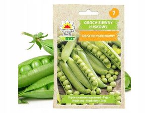 Groch siewny Sześciotygodniowy nasiona 50g - TORAF