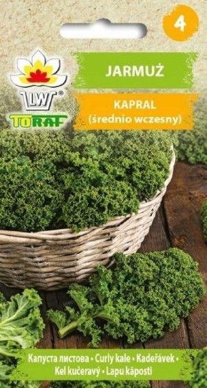 JARMUŻ Kapral odporny do -15°C nasiona 1g