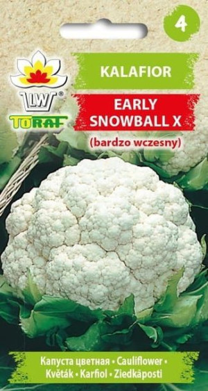 Kalafior Early Snowball X nasiona 1 g
