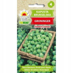 KAPUSTA BRUKSELSKA nasiona GRONINGER 2g