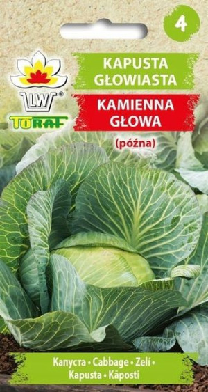 Kapusta Nasiona KAMIENNA GŁOWA 2 g