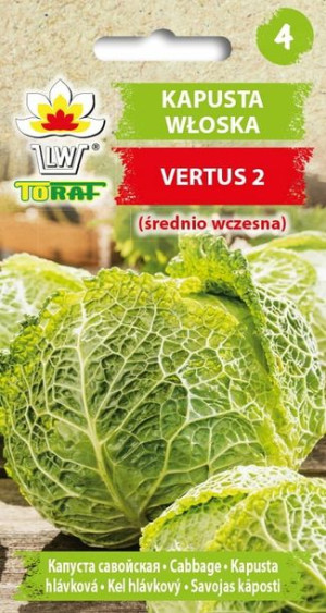 Kapusta włoska NASIONA 2g Vertus 2