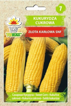 Kukurydza Nasiona Cukrowa Złota Karłowa 20 G