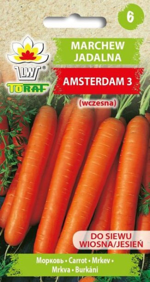 Marchew Amsterdam 3 NASIONA 5 g