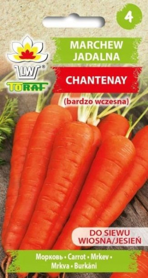 Marchew NASIONA jadalna Chantenay 5 g