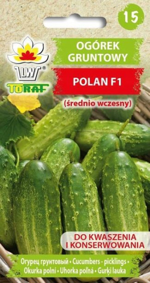 Ogórek Polan F1 nasiona 5 g