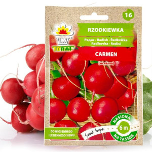 RZODKIEWKA CARMEN nasiona na taśmie 6m JAKOŚĆ