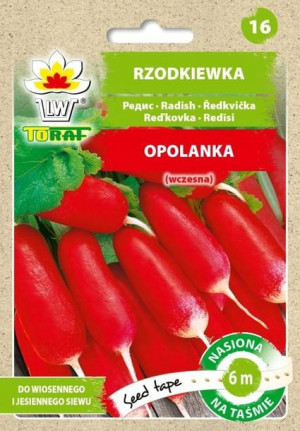 Rzodkiewka Opolanka Nasiona Warzyw Na Taśmie 6m