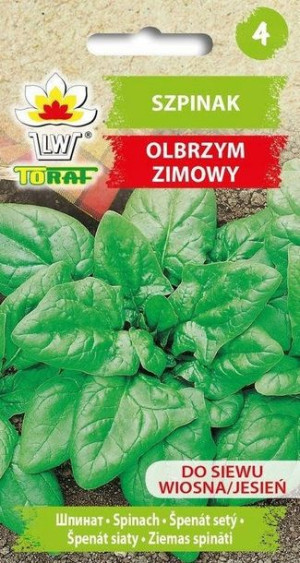 Szpinak Nasiona szpinaku Olbrzym zimowy SUPER