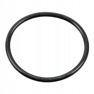Febi O-ring 100165