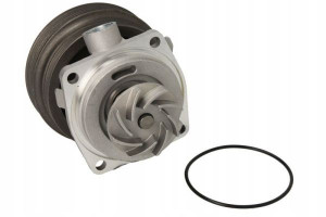 Thermotec D1f070tt Pompa Cieczy Fiat Brava