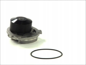 Thermotec D1f060tt Pompa Cieczy Fiat Brava