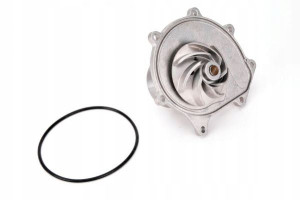 Thermotec D1k017tt Pompa Cieczy Rover 45