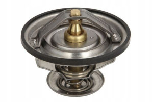 Thermotec Termostat Cieczy Z D2ag011tt