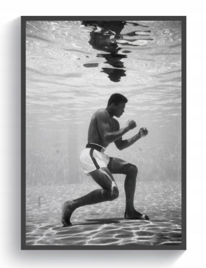 Muhammad Ali bokser plakat 40x60cm premium