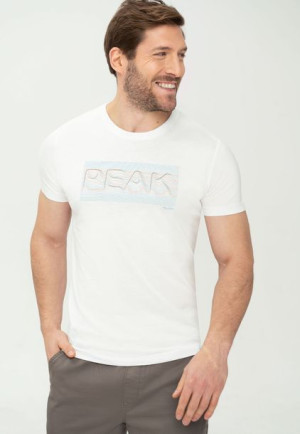 Męski T-shirt Koszulka Biała Z Napisem Volcano T-liner 3xl