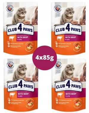Club4 Paws Wołowina w galaretce dla kotów 4x85g