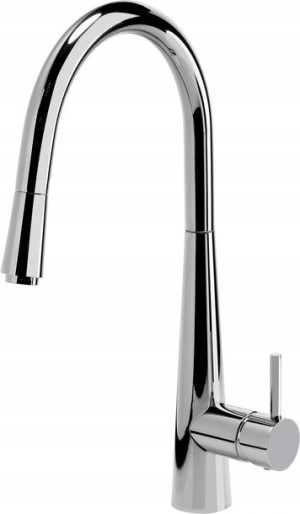 DEANTE Bateria zlewozmywakowa Aster chrom