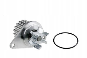 Nty Pompa Wody Cpw-ct-031 Citroen C2