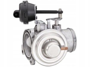 Hella 6nu 010 171-161 Zawór Egr