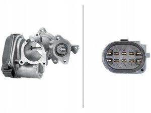 Hella 6nu 010 171-291 Zawór Egr