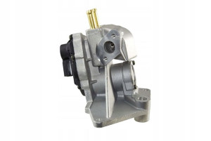Hella 6nu 010 171-721 Zawór Egr
