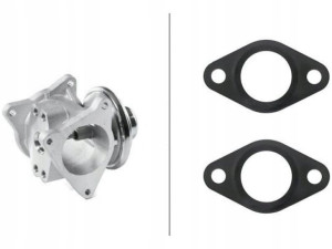 Hella 6nu 010 171-301 Zawór Egr