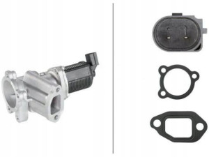 Hella 6nu 010 171-421 Zawór Egr