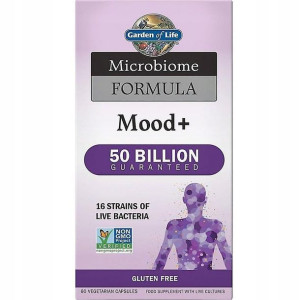 Garden Of Life Dr. Formulated Probiotics Mood+ 60k