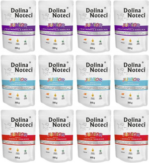 DOLINA NOTECI Premium Junior Mix Smaków 12x300G