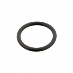 Febi Oring Obudowy Fe29752