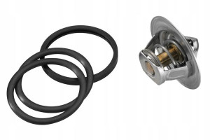 Wahler Termostat Citroën Saxo Zx 1.1