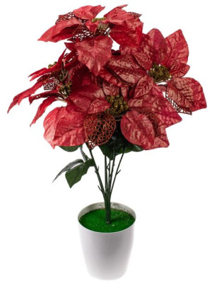 Gwiazda Betlejemska Poinsecja 50cm Sh Design