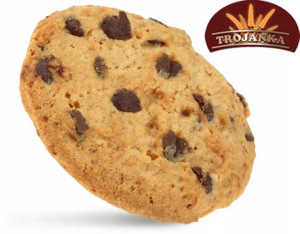 Trojanka Ciastka Talarki z Czekoladą Pieguski 2kg