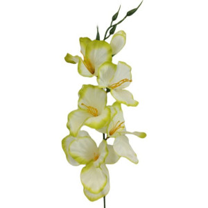 Mieczyk pojedynczy cream/green 12 szt sztuczny