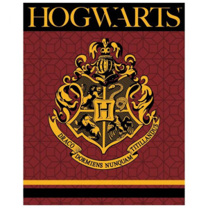 Koc Polarny Harry Potter Hogwarts Coral