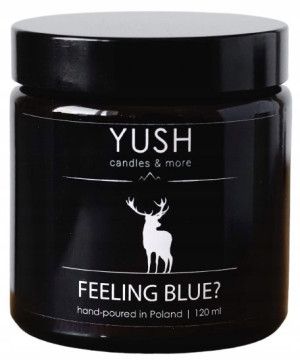 Świeca zapachowa Feeling blue? 120ml