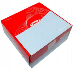 Sruby Glowicy Peugeot 307 00-