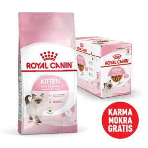 ROYAL CANIN  Kitten 10kg karma sucha dla kociąt od 4 do 12 miesiąca życia +