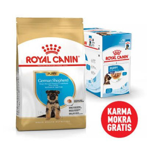 ROYAL CANIN German Shepherd Puppy 12kg karma sucha dla szczeniąt do 15 mies