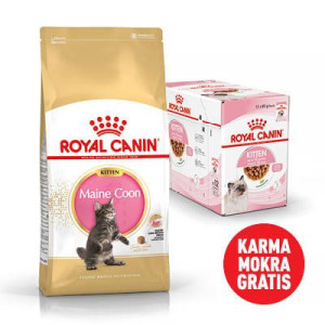 ROYAL CANIN Maine Coon Kitten 10kg karma sucha dla kociąt, do 15 miesiąca,