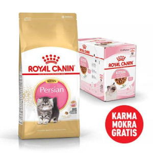 ROYAL CANIN Persian Kitten 10kg karma sucha dla kociąt do 12 miesiąca życia