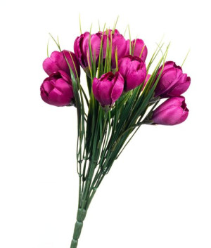 Krokusy w bukiecie purpurowe