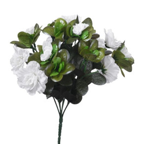 Azalia biała bukiet