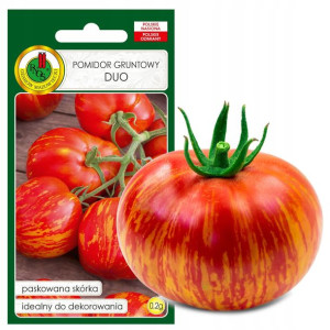 Pomidor Gruntowy Duo Paskowany Nasiona Bez Gmo