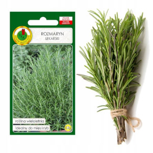 Rozmaryn Przyprawa Zioła Nasiona Ziół Bez Gmo